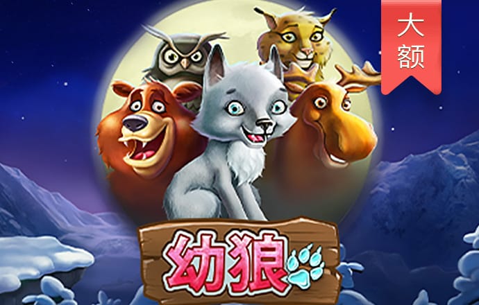 4949澳门免费资料大全高手优势