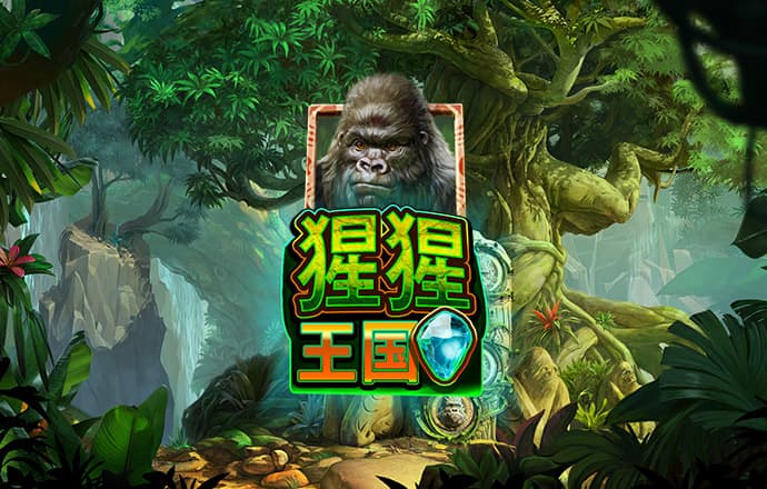 j9九游会登录网址